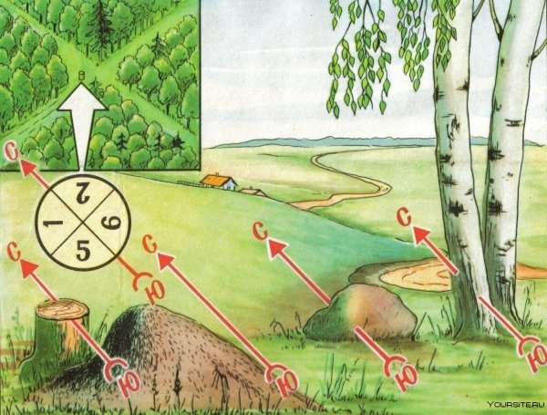 Военная топография ориентирование на местности без карты