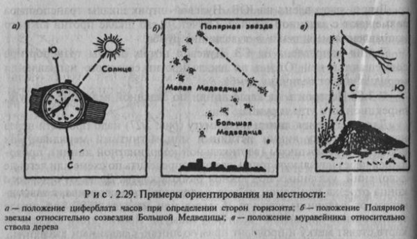 Ориентирование на местности