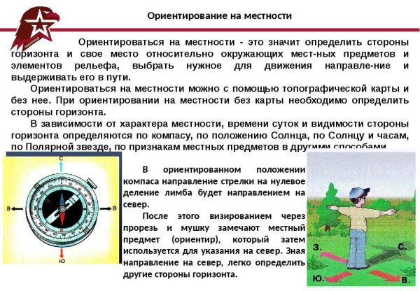 Методы определения сторон света без компаса