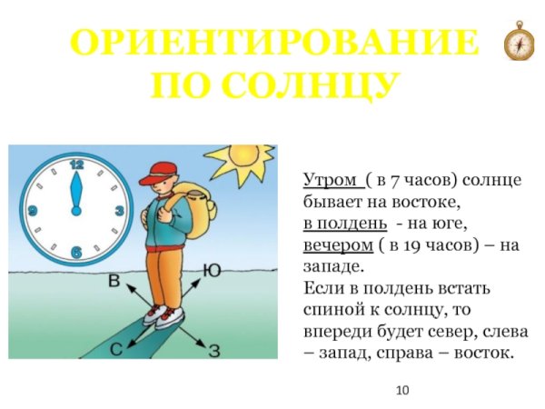 Способы ориентирования в лесу