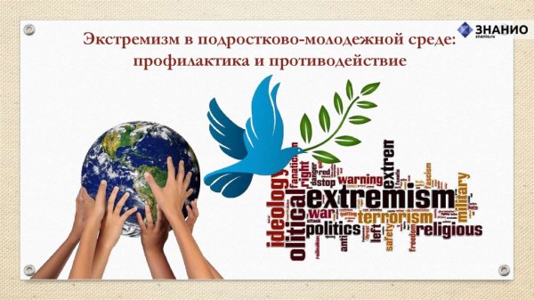 Профилактика экстремизма в молодежной среде