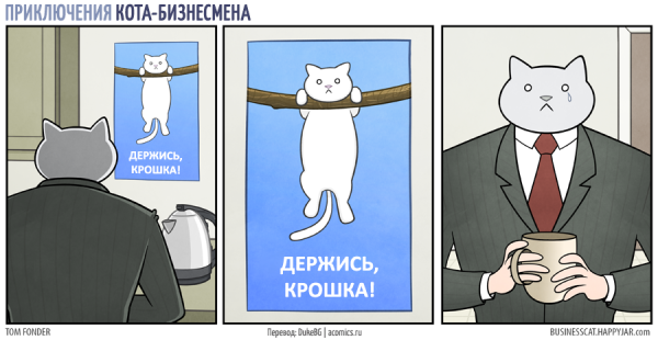 Мотивирующий плакат с котом