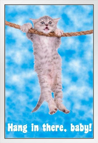 Плакат держись котенок