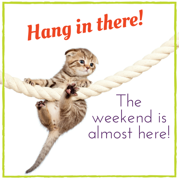 Hang in there