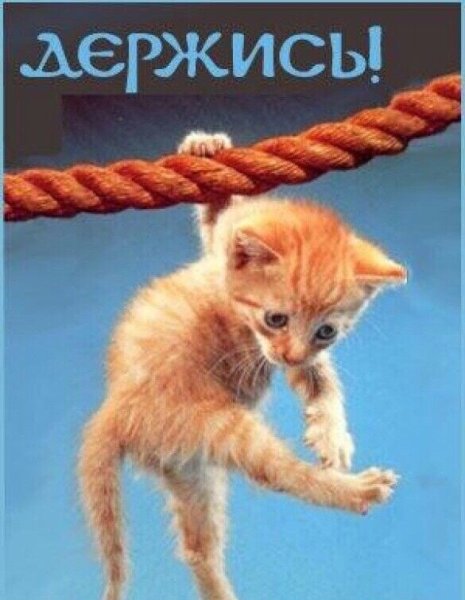 Держись картинки