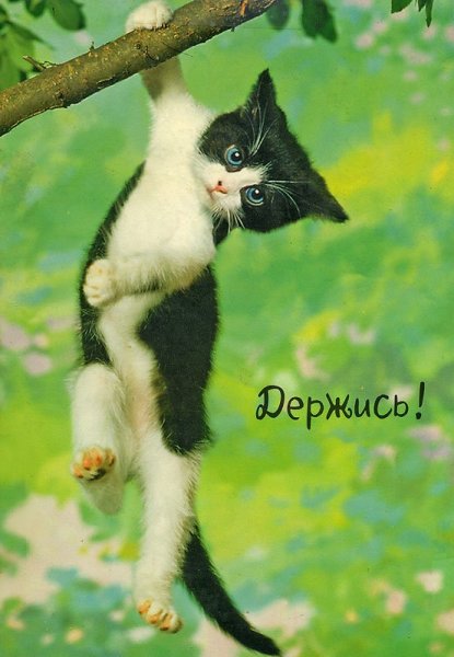 Открытка держись