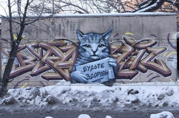 Плакат с котиком держись