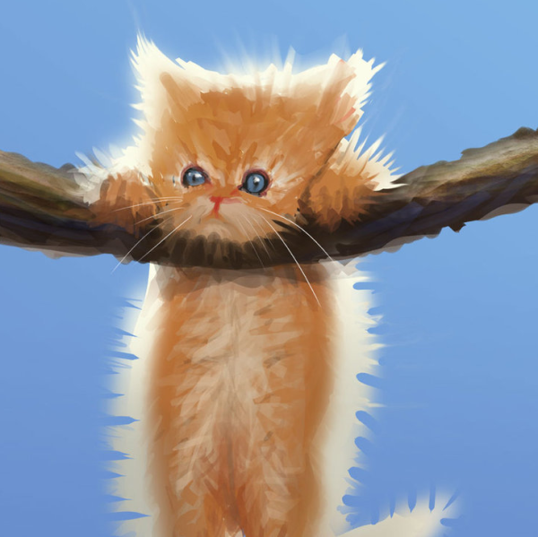 Держись котенок