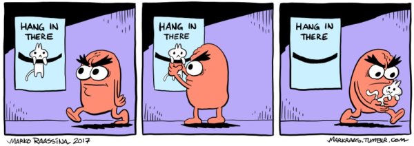 Плакат с котом держись