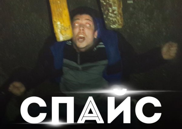 Мемы про спайс