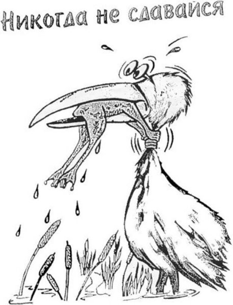 Рисунок никогда не сдавайся цапля и лягушка