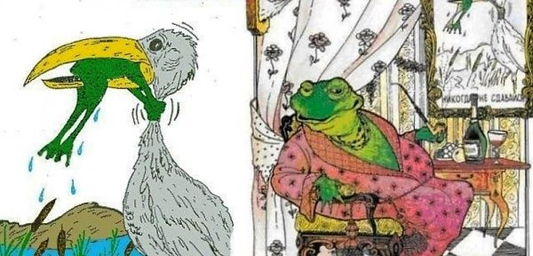 Лягушка душит цаплю