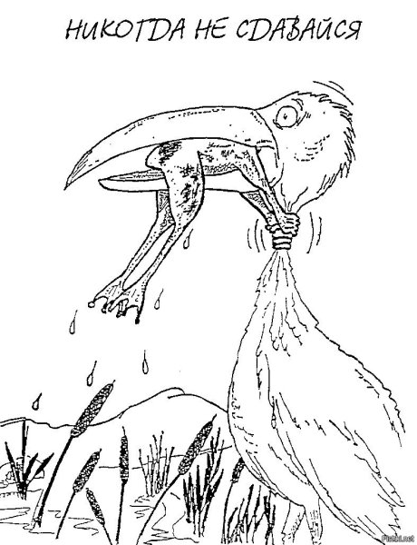 Никогда не сдавайся!