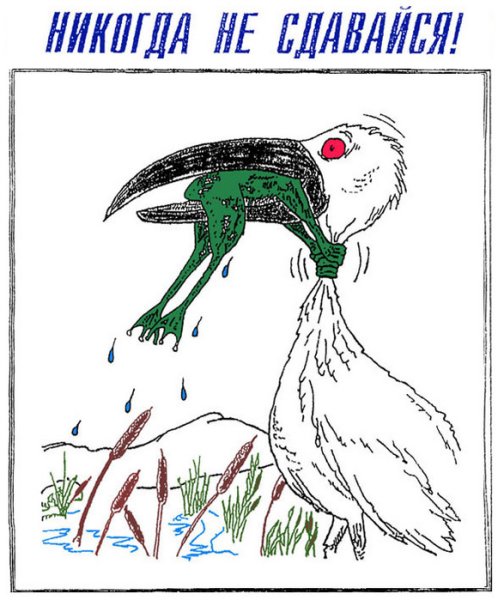 Никогда не сдаваться рисунок