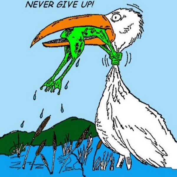 Лягушка душит цаплю