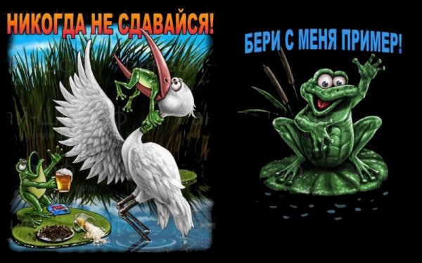 Никогда не сдавайся!