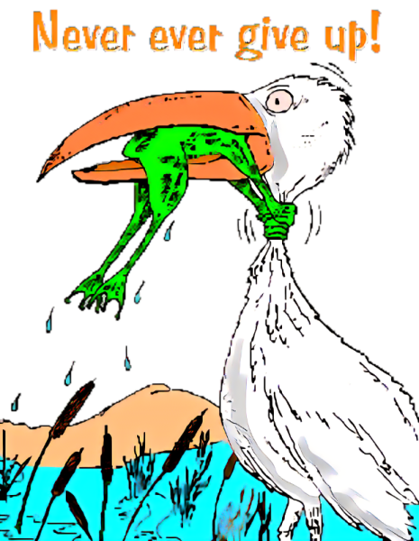 Never give up лягушка