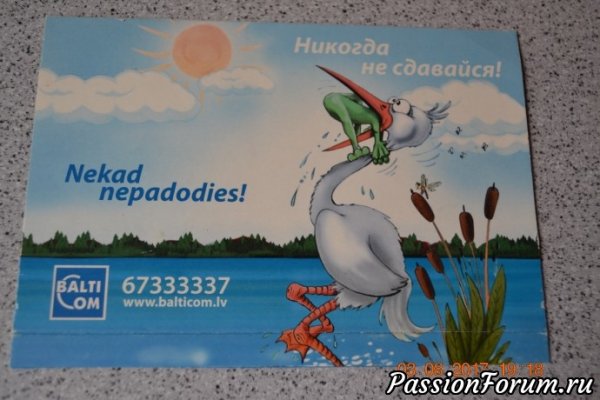 Мотивирующие плакаты с лягушкой и цаплей