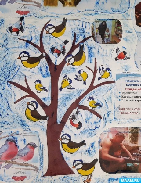 Стенгазета про птиц