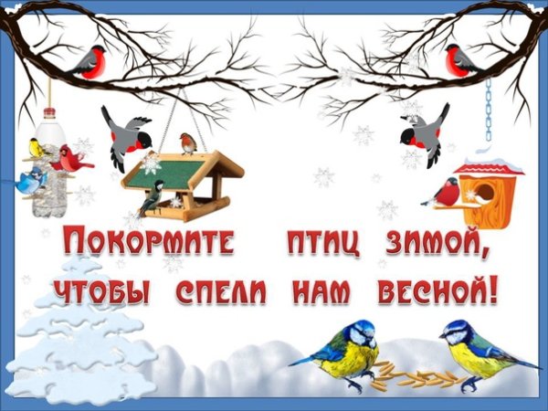 Берегите птиц зимой