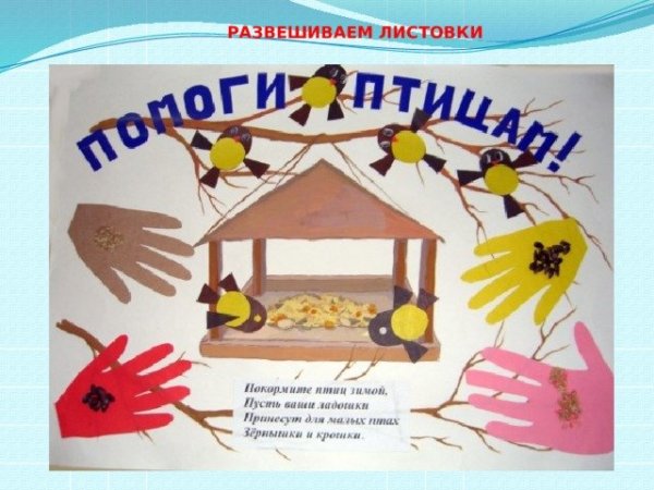 Как помочь животным в зимнее время