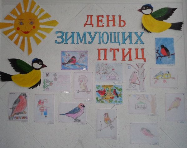 Плакат зимующие птицы для детского сада
