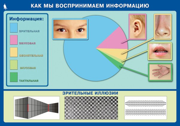 Способы восприятия информации