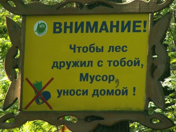 Смешные таблички в лесу
