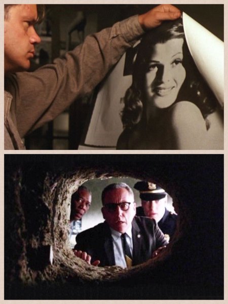 Рита Хейворт и побег из Шоушенка