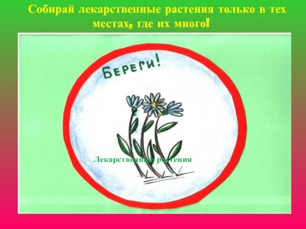 Плакат берегите растения