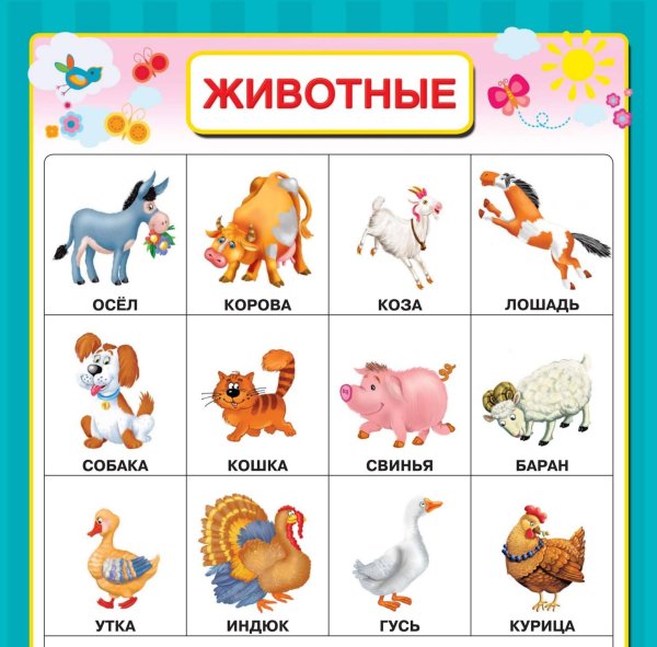 Обучающие плакаты для дошкольников