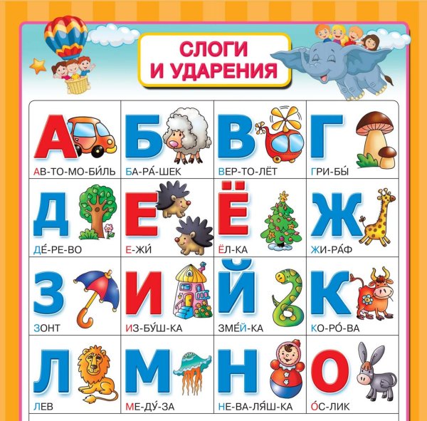 Плакат грибы для детского сада