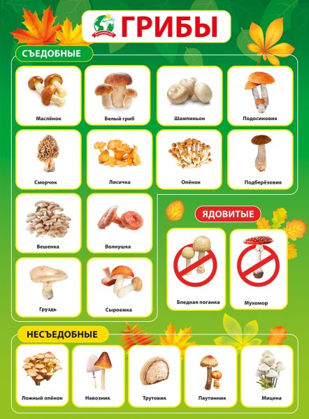 Обучающие плакаты для дошкольников