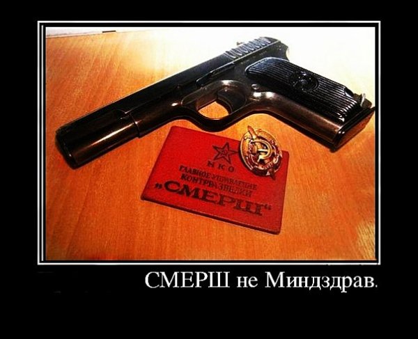 Войска НКВД 1/35 Алангер