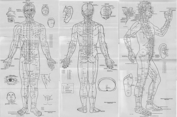 Атлас акупунктурных точек и меридианов в Цветном