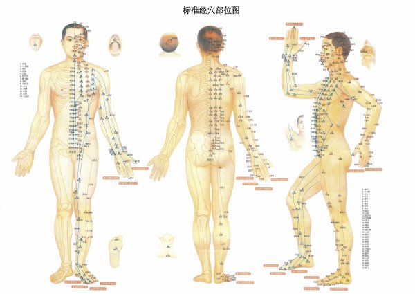 Меридианы человека китайская медицина