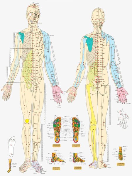 Акупунктура меридианы тела человека схема