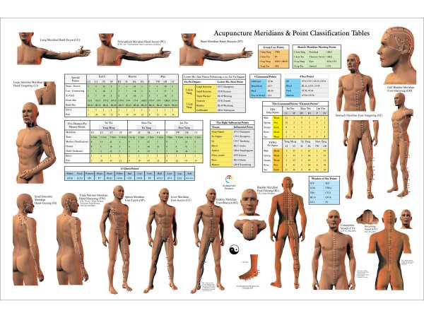 Meridians Acupuncture
