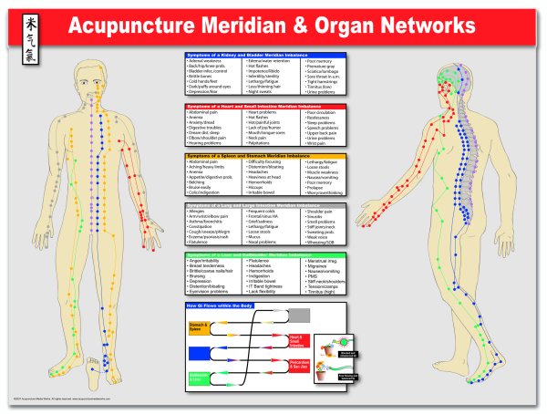 Меридианы органов человека