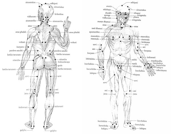Акупунктура тела человека схема болевые точки