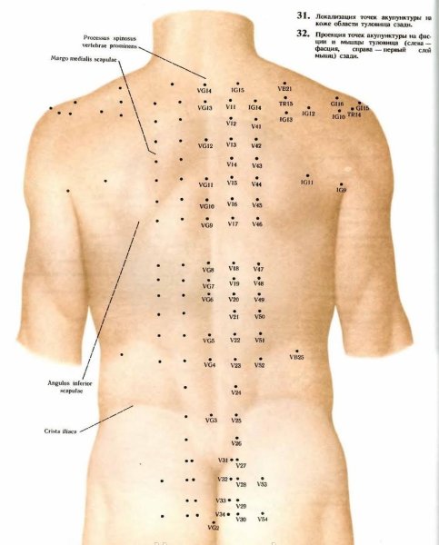 Меридианы и точки акупунктуры атлас