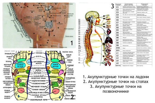 Акупунктурные точки на позвоночнике человека
