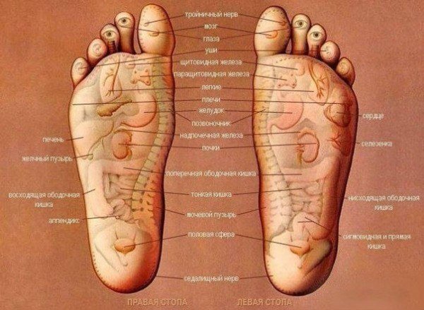 Точки на ступнях отвечающие за органы для массажа