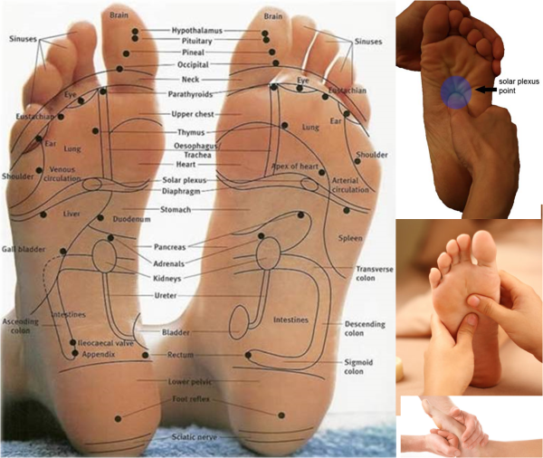 Биологически активные точки на стопе