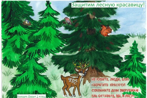 Листовка в защиту хвойных