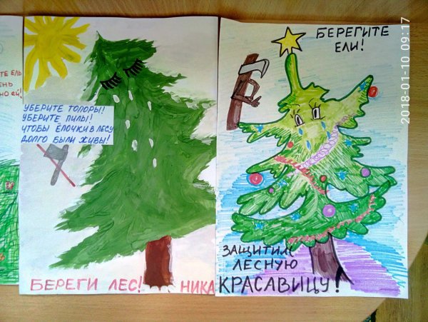 Плакат берегите ели