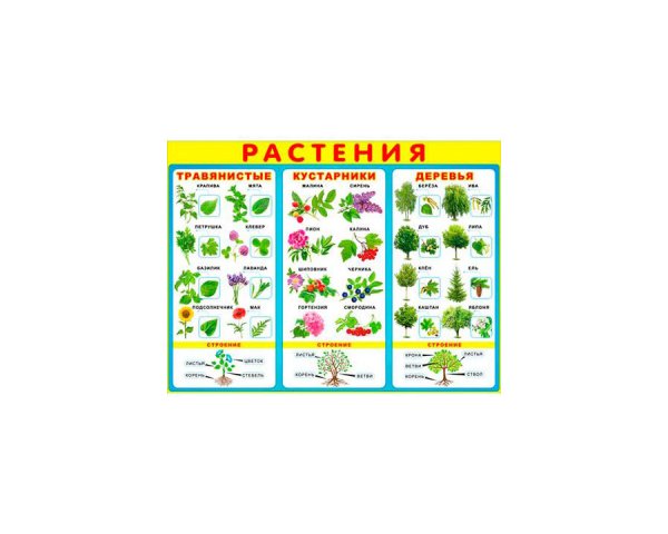 Плакаты для детского сада