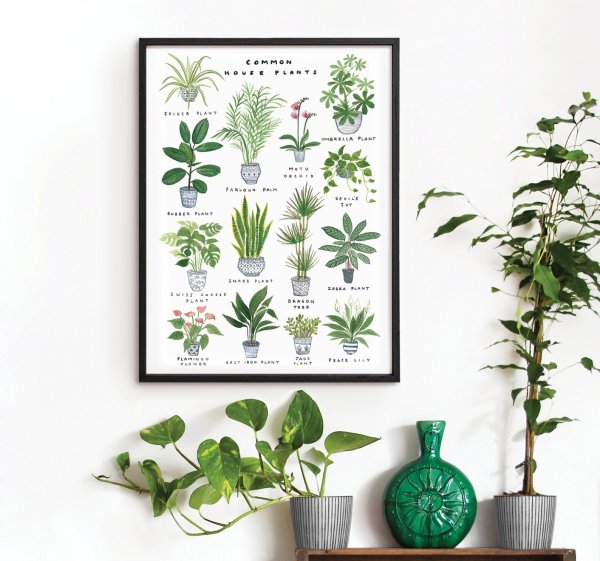 Ботанические постеры