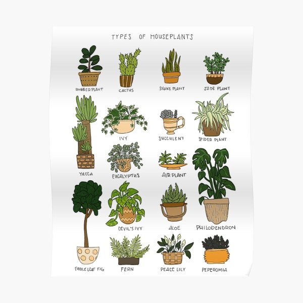 Плакат на тему защита животных и растений