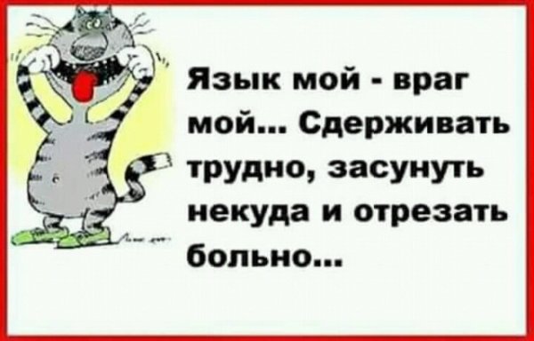 Язык мой враг мой